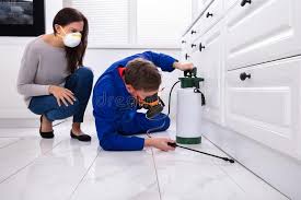 Real Estate Pest Inspections in Union City, OH